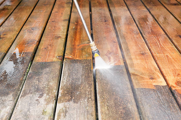 Animal Enclosure Cleaning in Bradford, PA